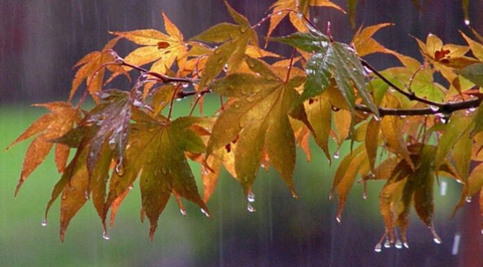 Temperaturile scad de la o zi la alta