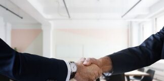 Ce oportunități în plan profesional îți oferă Germania și Olanda