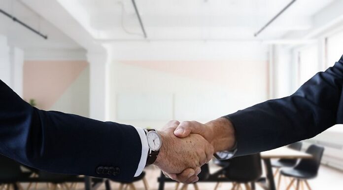 Ce oportunități în plan profesional îți oferă Germania și Olanda