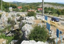 Repere autumnale – Pe sub munte spre Ponoare, la cea mai întinsă pădure de liliac sălbatic din țară