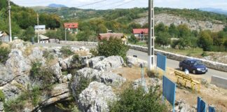 Repere autumnale – Pe sub munte spre Ponoare, la cea mai întinsă pădure de liliac sălbatic din țară