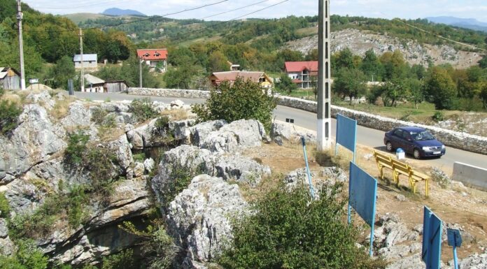 Repere autumnale – Pe sub munte spre Ponoare, la cea mai întinsă pădure de liliac sălbatic din țară