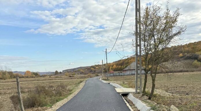 Străzi asfaltate la Negomir