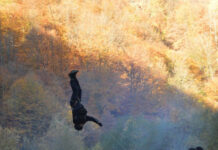 Jandarmii montani, pregătire în Cheile Sohodolului