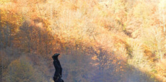 Jandarmii montani, pregătire în Cheile Sohodolului