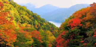 Scade debitul râurilor din țară! Jiul va avea sub 30% din normal, în unele zone