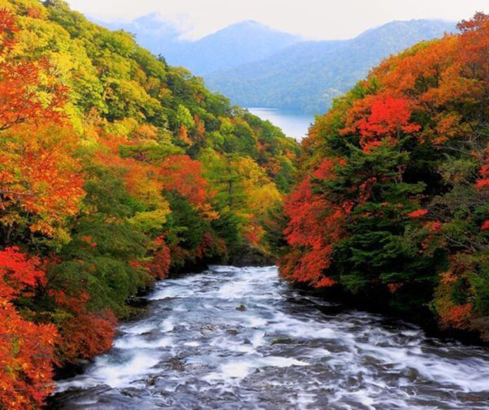 69fbfb08-8e4a-4510-bef6-bf068acfdbb7