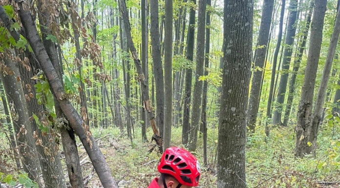 Traseele montane, în atenția Salvamont