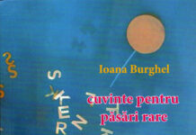 Strategia lirică în poezia Ioanei Burghel