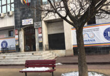 Director nou la CJCPCT Gorj