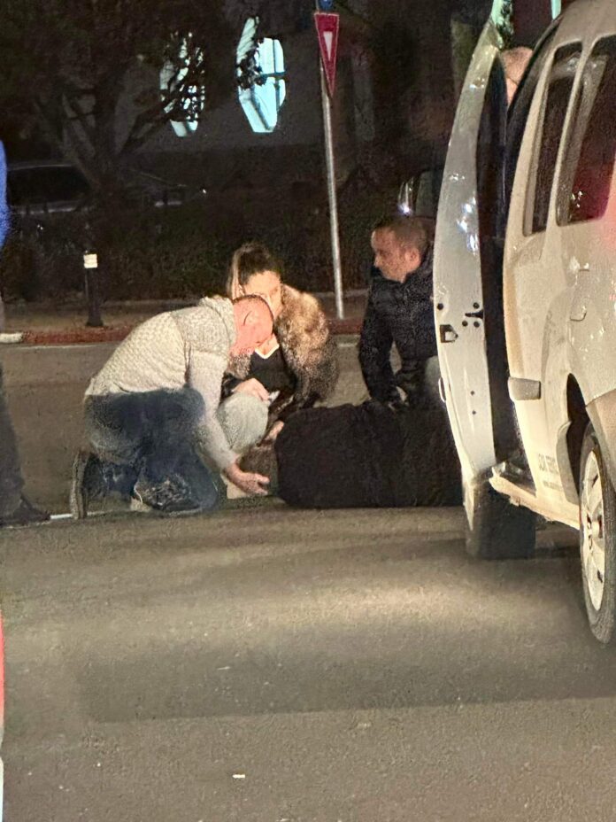 FB_IMG_1732218574996