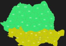 Cod galben de vânt și viscol