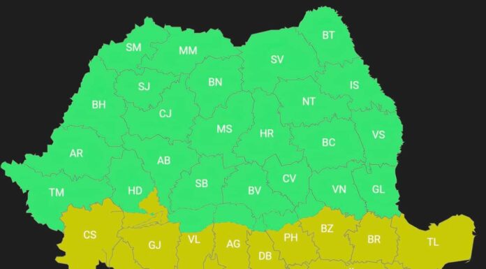 Cod galben de vânt și viscol