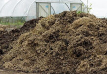 Agricultura pe înțelesul tuturor – Gunoiul de grajd – o comoară a fermierilor