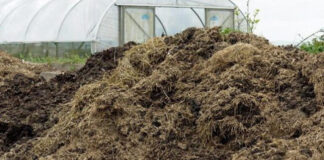 Agricultura pe înțelesul tuturor – Gunoiul de grajd – o comoară a fermierilor