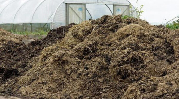Agricultura pe înțelesul tuturor – Gunoiul de grajd – o comoară a fermierilor