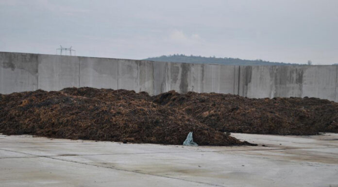 Agricultura pe înțelesul tuturor – Gunoiul de grajd – o comoară a fermierilor