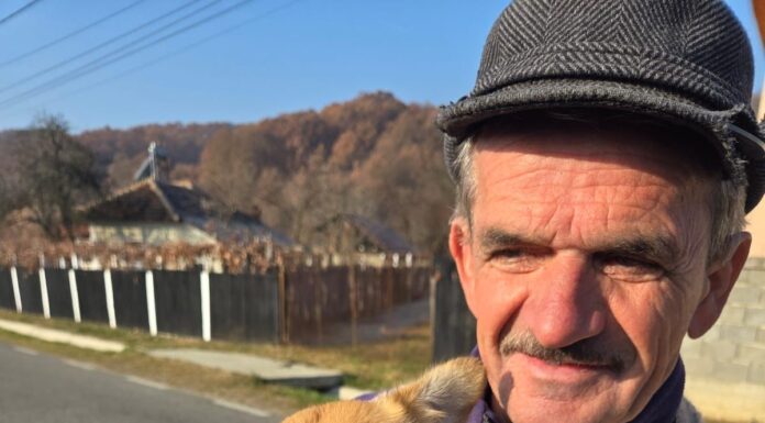 FOTO, MOTRU| Campania de sterilizare a câinilro cu stăpân continuă!