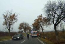 Scoarța: S-a izbit cu mașina de un copac