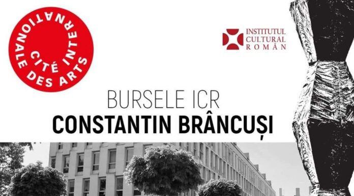ICR: Termenul pentru bursele ”Constantin Brâncuși”, prelungit
