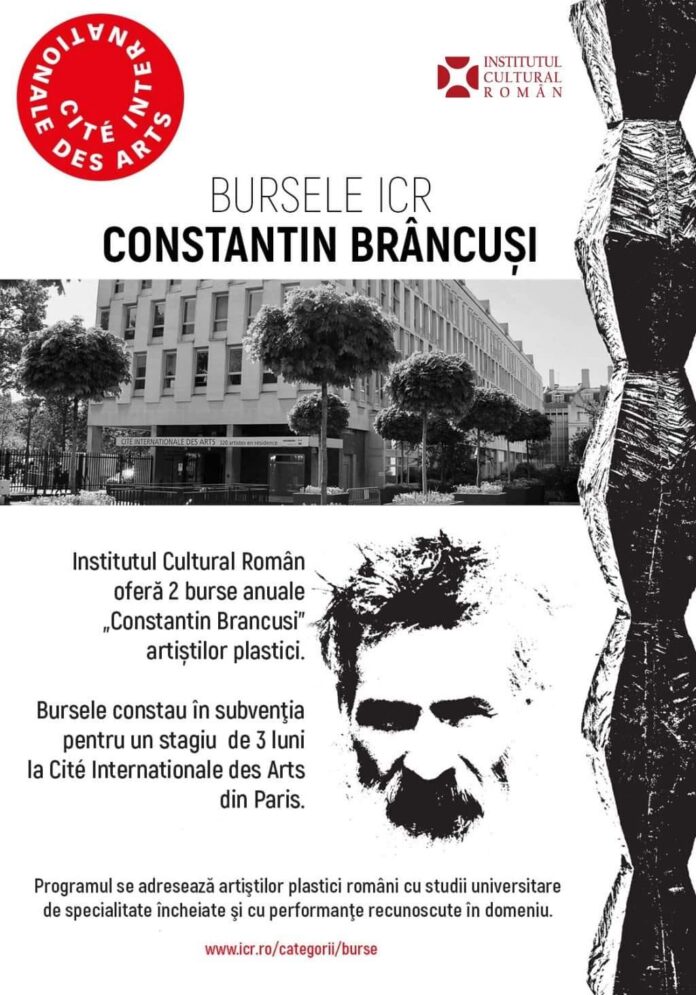 afis brancusi