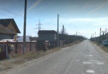 Și-a ucis fratele și va sta 12 ani după gratii