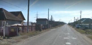 Și-a ucis fratele și va sta 12 ani după gratii