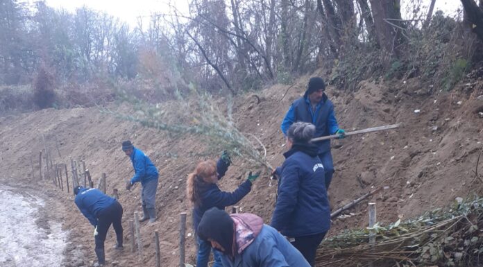 SGA Gorj, lucrări pentru decolmatarea pârâului din Licurici