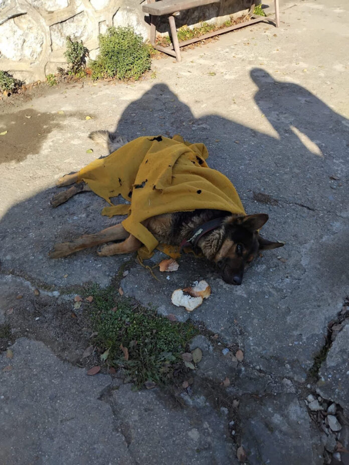 b9e12f23-c357-42c1-aff1-1ef22d3650c3