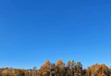 Jiul, curățat și decolmatat lângă termocentrala Rovinari. 100 de tone de resturi, îndepărtate