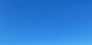 Jiul, curățat și decolmatat lângă termocentrala Rovinari. 100 de tone de resturi, îndepărtate