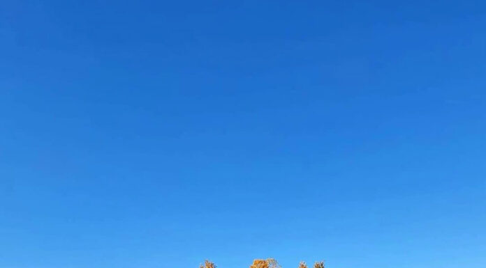 Jiul, curățat și decolmatat lângă termocentrala Rovinari. 100 de tone de resturi, îndepărtate