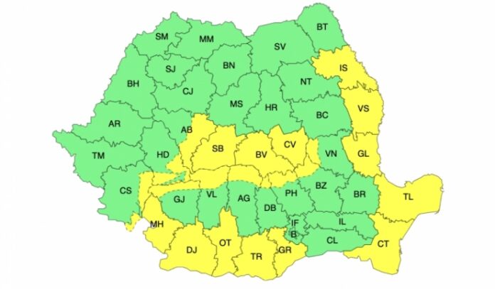 codgalbenvremerea-1732352599