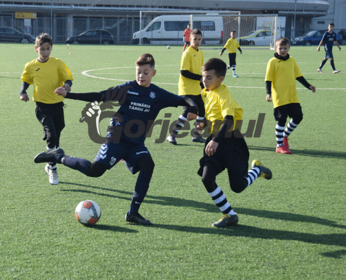 fb1f6612-8fa7-4ab9-a72e-cd570f7c238e