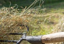 Amendă penală pentru amenințare. „Dacă nu te potoleşti…”