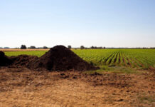 Agricultura pe înțelesul tuturor – Gunoiul de grajd – o comoară a fermierilor