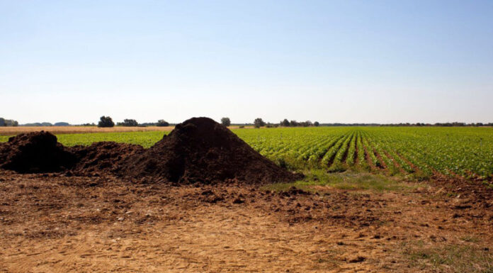 Agricultura pe înțelesul tuturor – Gunoiul de grajd – o comoară a fermierilor