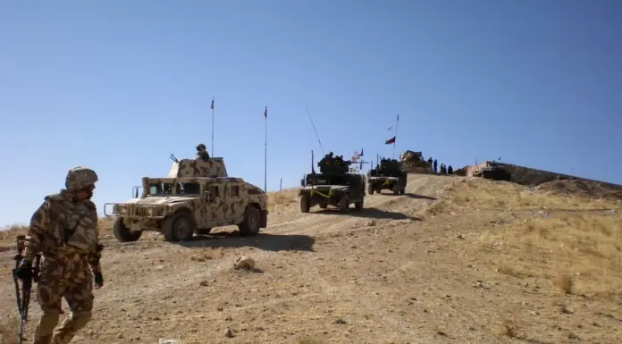 11 noiembrie – Ziua Veteranilor din Teatrele de Operații