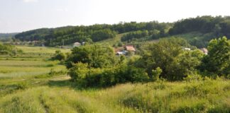 15 ani de pușcărie pentru că și-a ucis fratele. I-a dat cu târnăcopul în cap și apoi a turnat făină peste el!