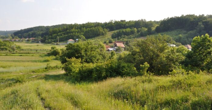 15 ani de pușcărie pentru că și-a ucis fratele. I-a dat cu târnăcopul în cap și apoi a turnat făină peste el!