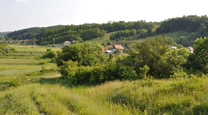 15 ani de pușcărie pentru că și-a ucis fratele. I-a dat cu târnăcopul în cap și apoi a turnat făină peste el!