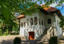 Muzeul ,,Constantin Brâncuși” din Târgu Jiu va fi restaurat