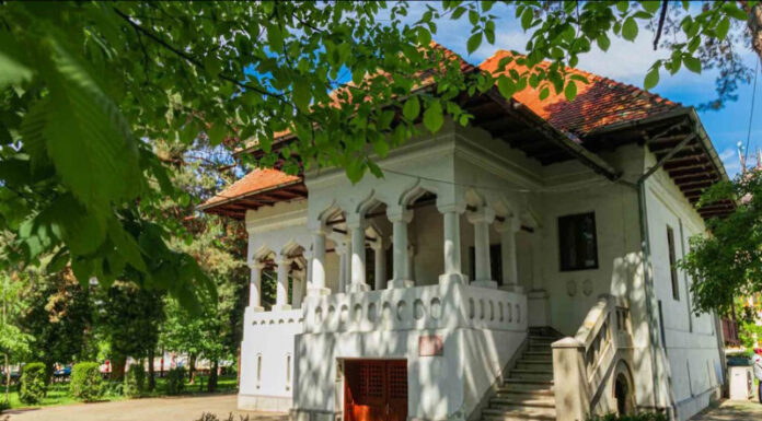 Muzeul ,,Constantin Brâncuși” din Târgu Jiu va fi restaurat