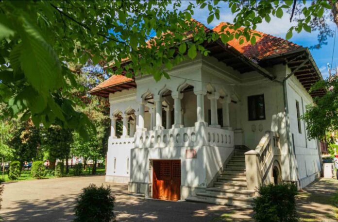 Muzeul ”Constantin Brâncuși” de la Târgu Jiu va fi restaurat