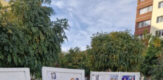Afișajul electoral încaieră partidele. A reclamat lipsa panourilor electorale din comune