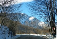 NOSTALGII HIVERNALE – Din nou, prin Parcurile Naționale de pe Jiul de Sus la fine de Brumar