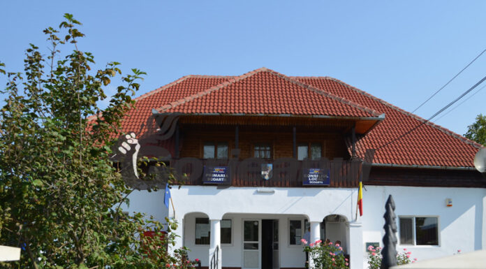 Post de mediator sanitar la o primărie din Gorj