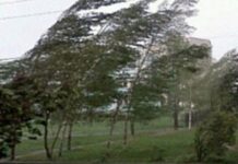 Cod galben de vânt în nordul județului Gorj