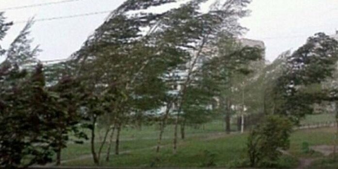 Cod galben de vânt în nordul județului Gorj