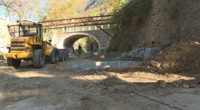 Proiect inedit la Băile Herculane, realizat de voluntari!